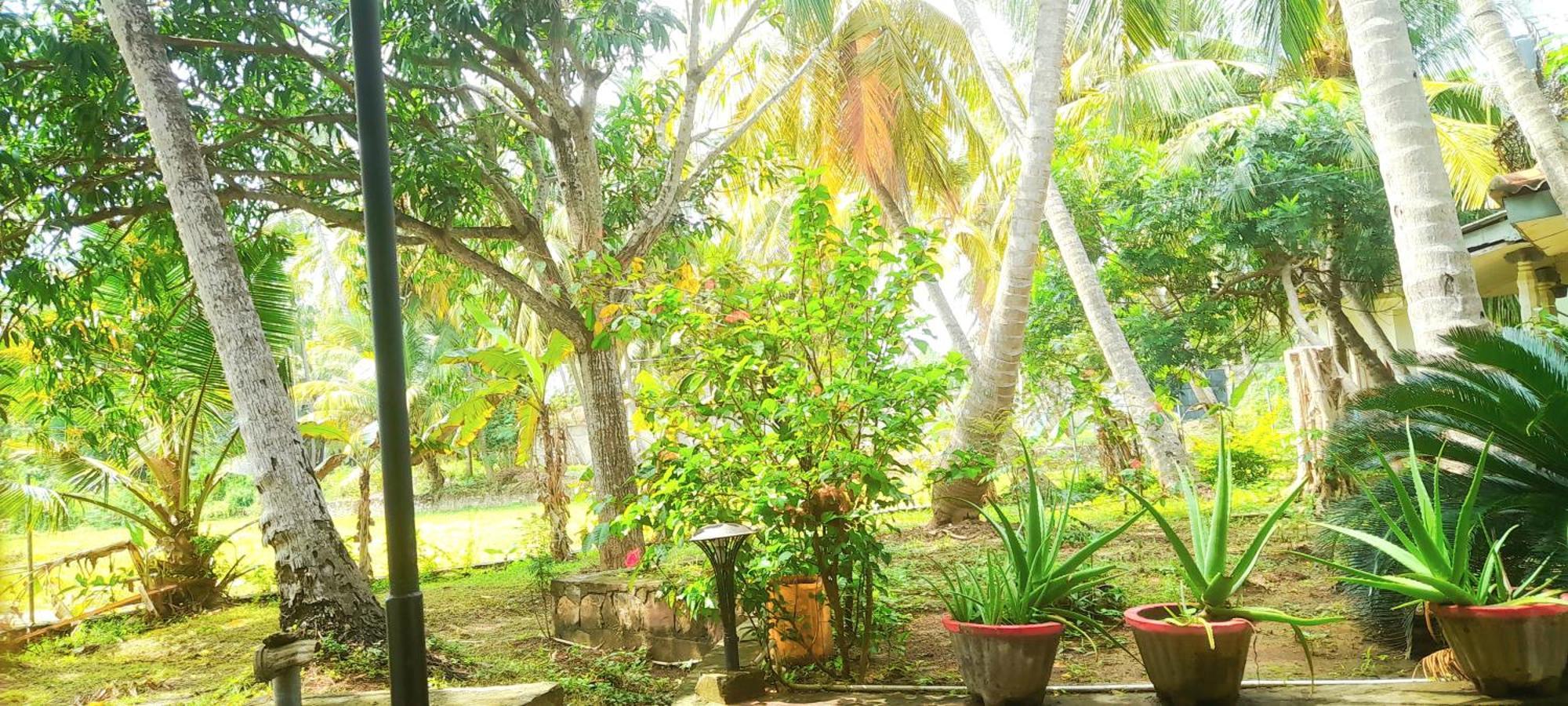 Traveller'S Home Hotel Tissamaharama Room photo
